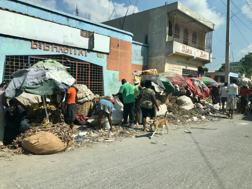 people on road beside building